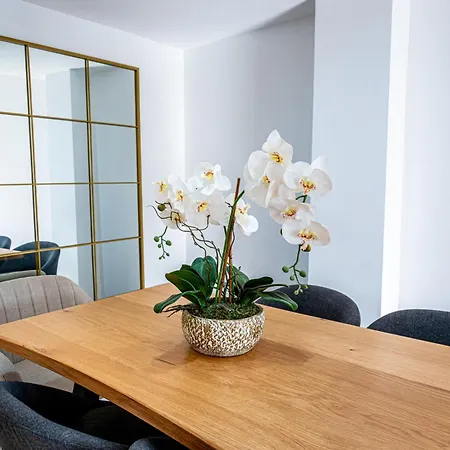 Apartment Flat 1 *